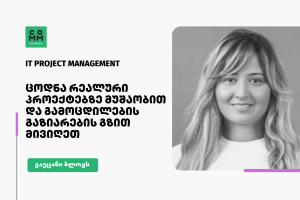 it project management baiko didishvili blog cover