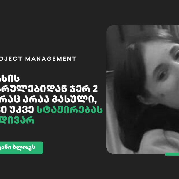 it project management tamar gogokhia