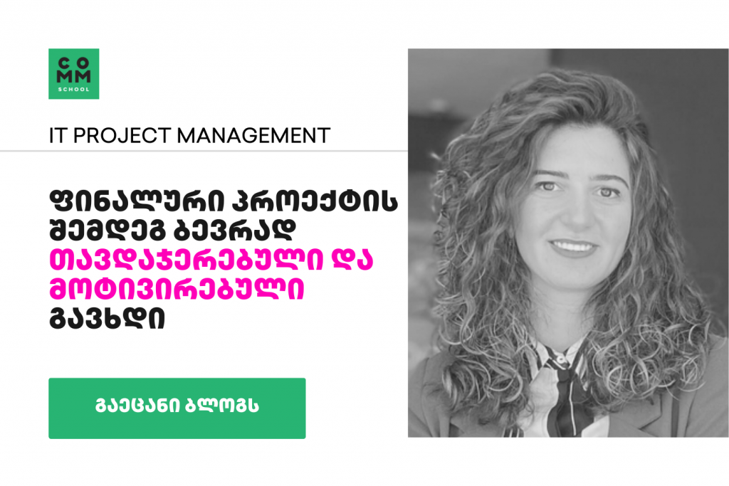 IT Project Management meri makarashvili