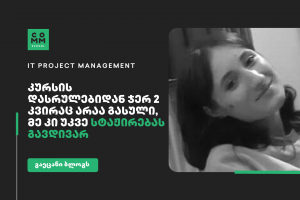 it project management tamar gogokhia