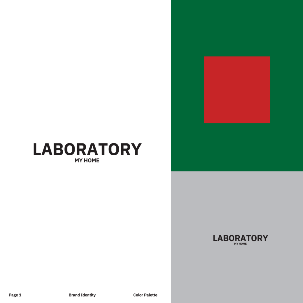 graphikuli dizainis kursi - finaluri proeqti nutsa logua - laboratory